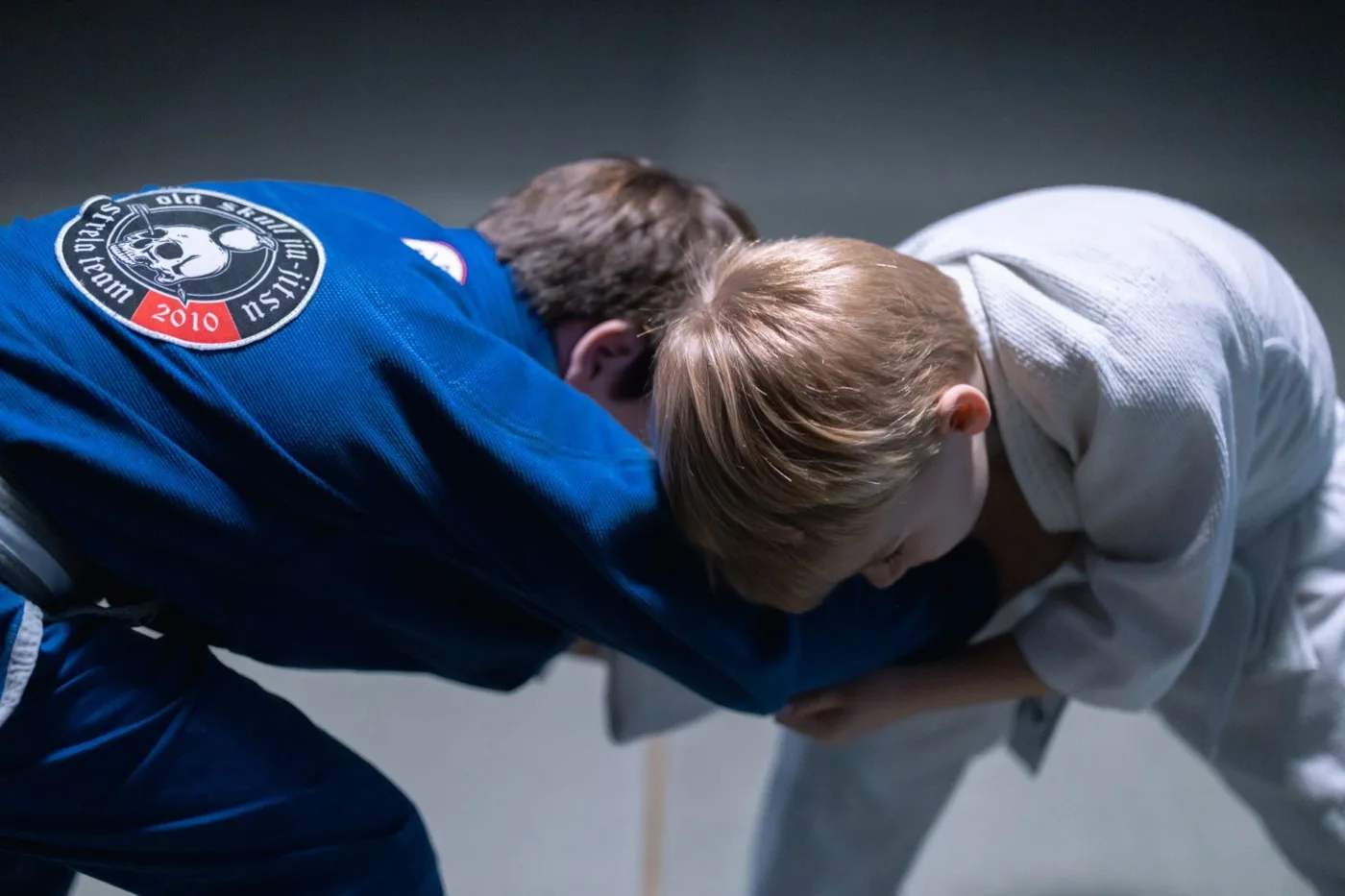 Edzéselméleti alapok — sportedző (ju-jitsu sportágban) képzés